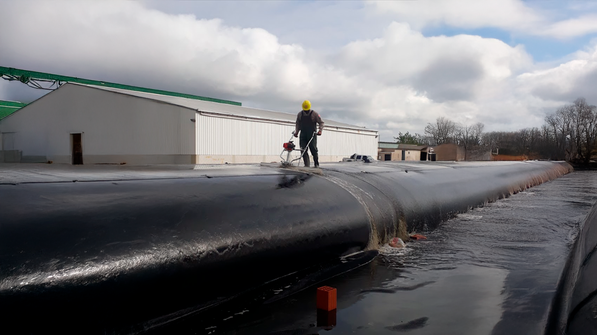 _0000s_0001_Relleno-generativo-2