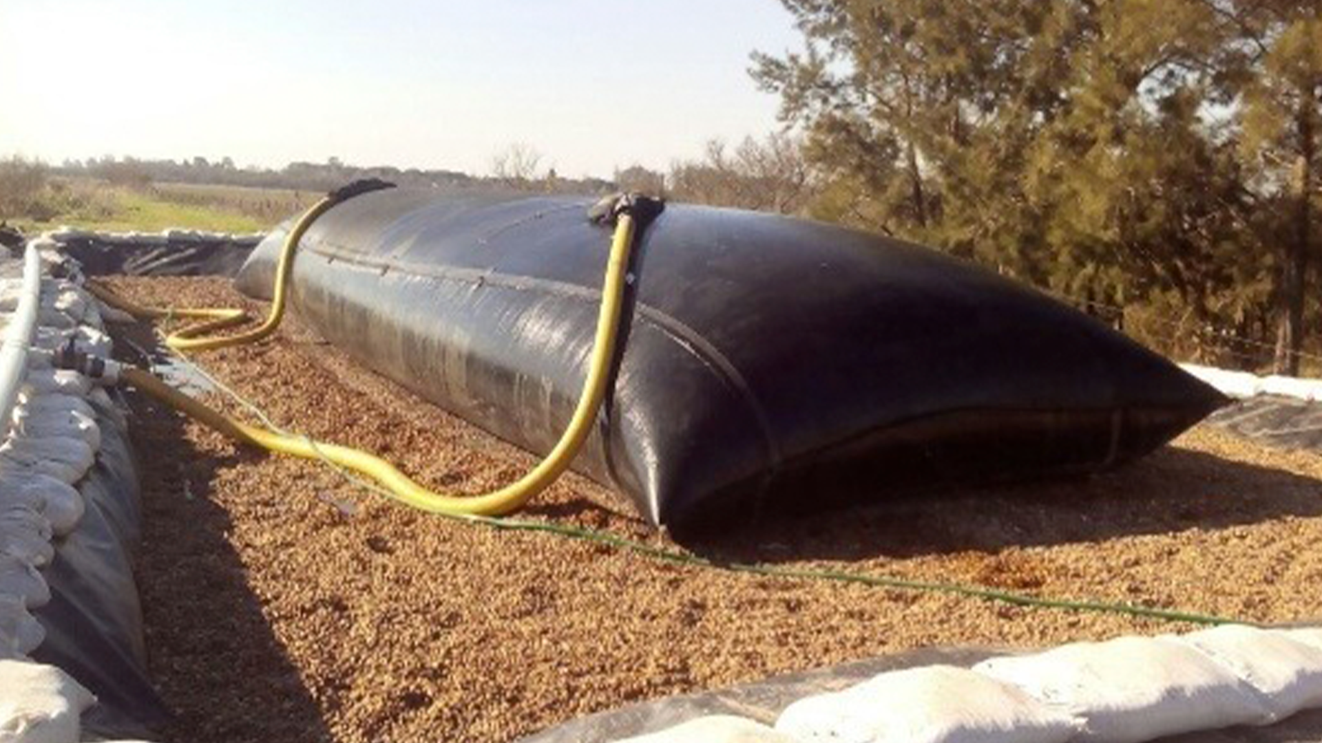 Sin-título-3_0000s_0000_descarga-(5)