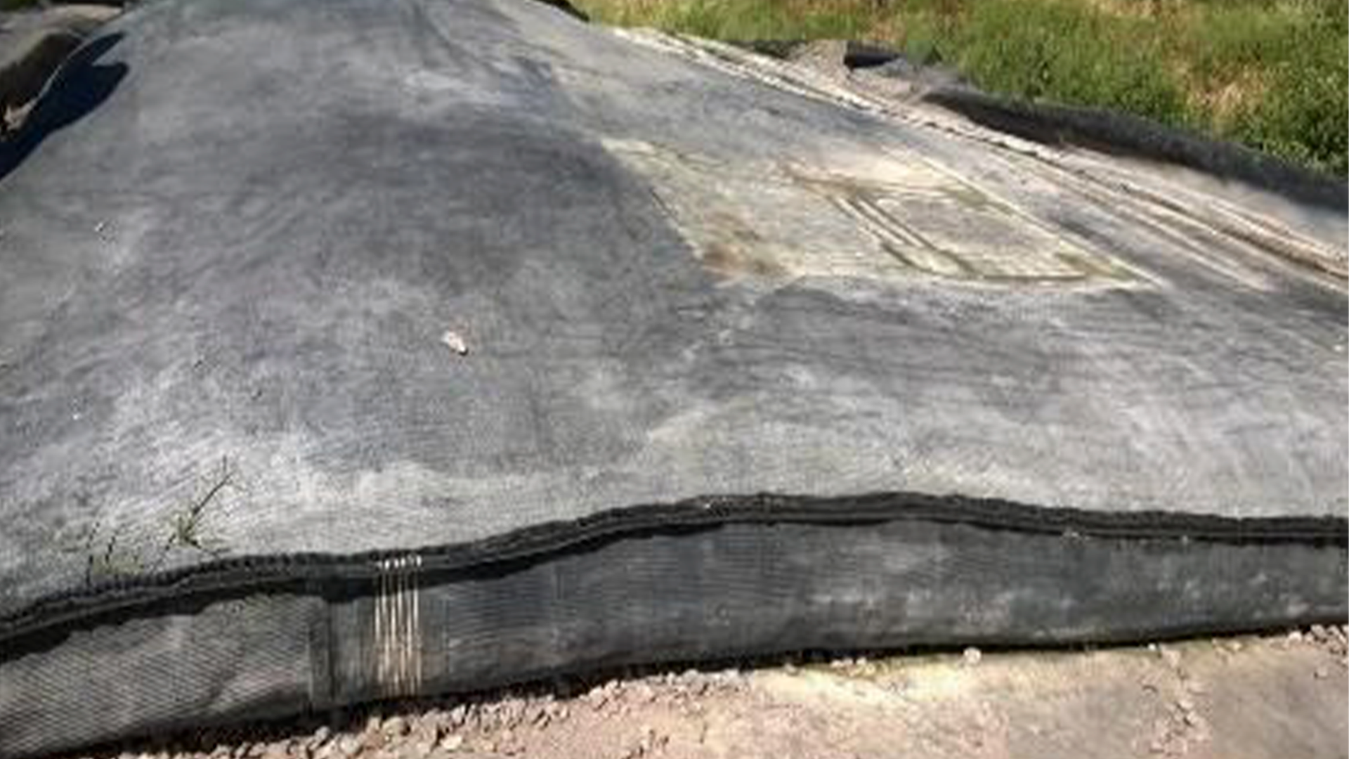 pilar_0000s_0001_descarga-(4)