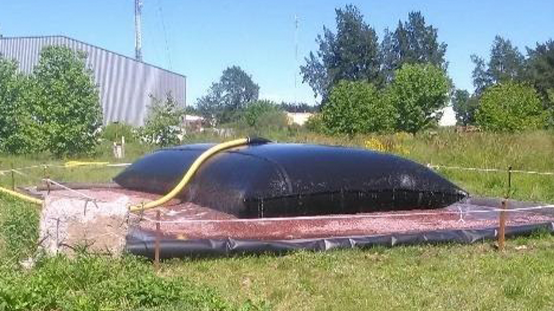 pilar_0000s_0002_descarga-(3)