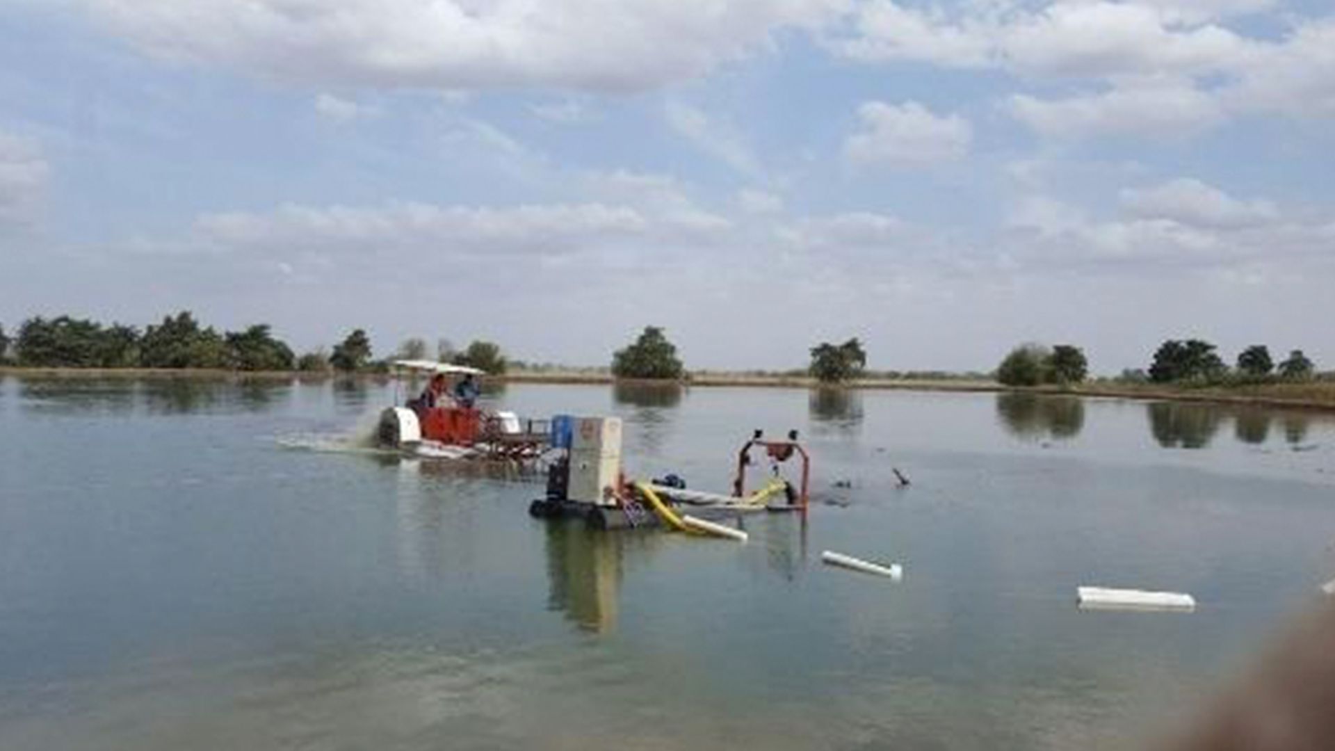 totoras_0000s_0000_descarga-(7)