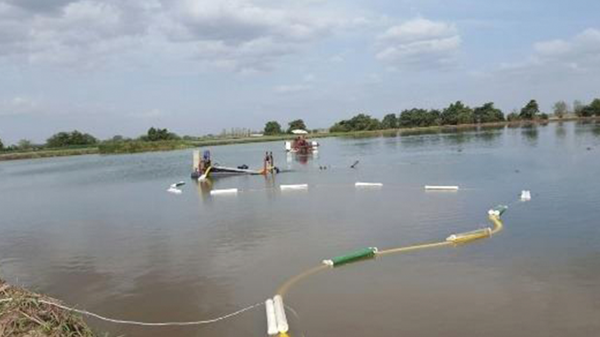 totoras_0000s_0001_descarga-(6)