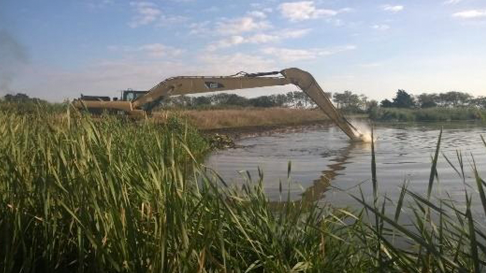 totoras_0000s_0002_descarga-(5)